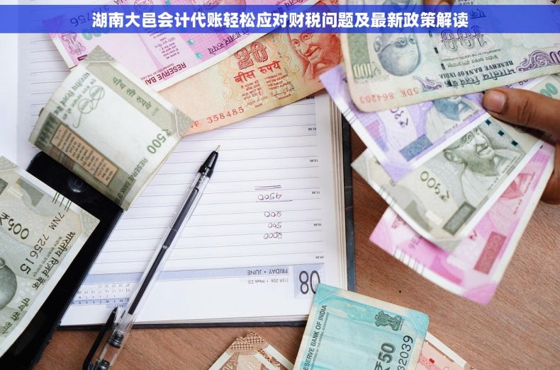 湖南大邑会计代账轻松应对财税问题及最新政策解读