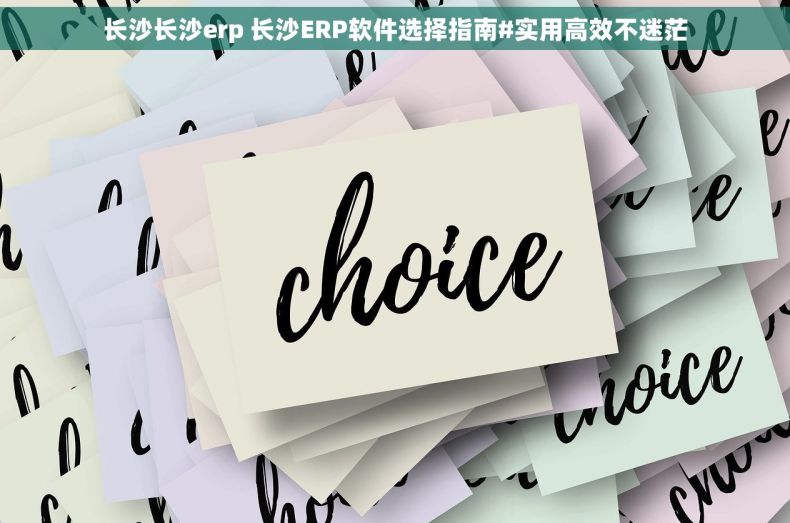 长沙长沙erp 长沙ERP软件选择指南#实用高效不迷茫