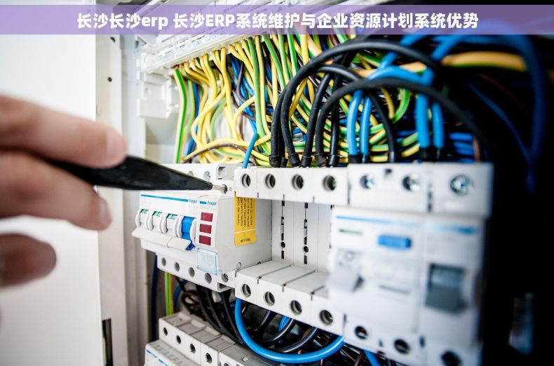 长沙长沙erp 长沙ERP系统维护与企业资源计划系统优势
