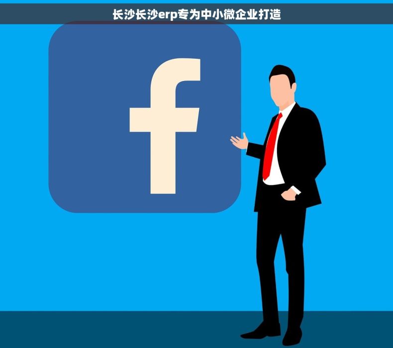 长沙长沙erp专为中小微企业打造