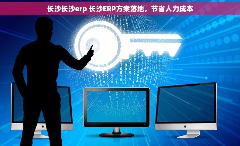 长沙长沙erp 长沙ERP方案落地，节省人力成本