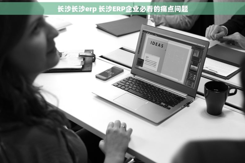 长沙长沙erp 长沙ERP企业必看的痛点问题