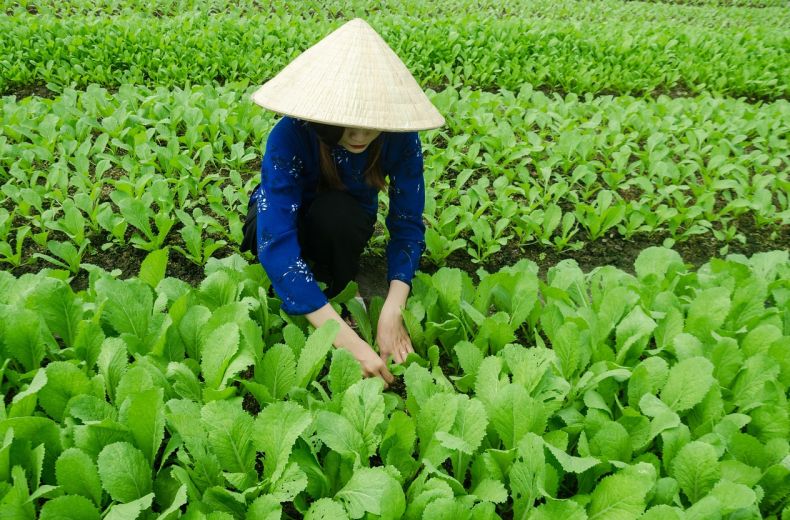 长沙长沙erp 长沙ERP发展趋势#年最新动态解读