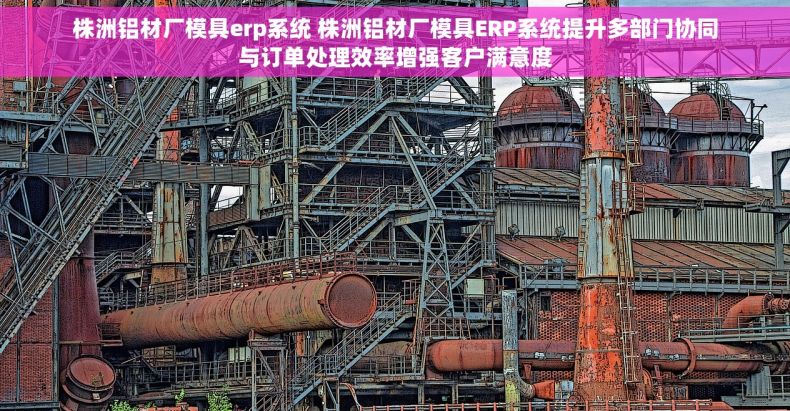 株洲铝材厂模具erp系统 株洲铝材厂模具ERP系统提升多部门协同与订单处理效率增强客户满意度