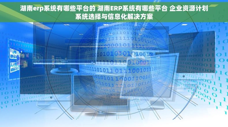 湖南erp系统有哪些平台的 湖南ERP系统有哪些平台 企业资源计划系统选择与信息化解决方案