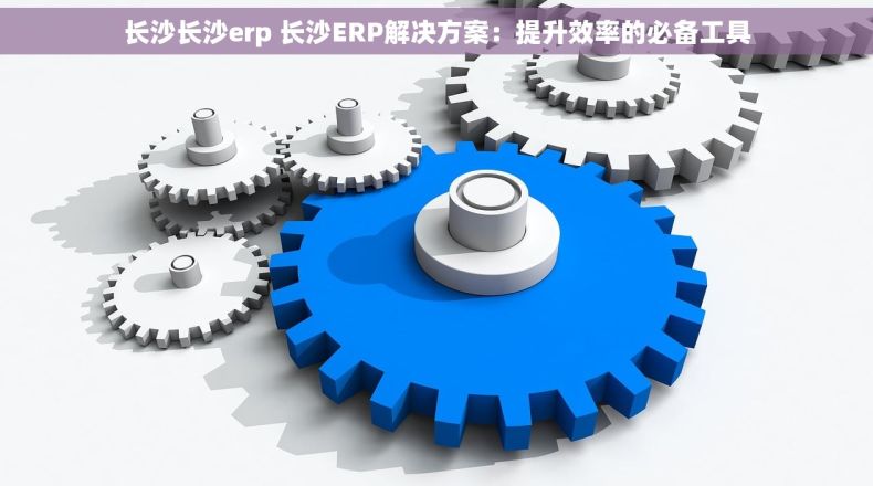 长沙长沙erp 长沙ERP解决方案：提升效率的必备工具