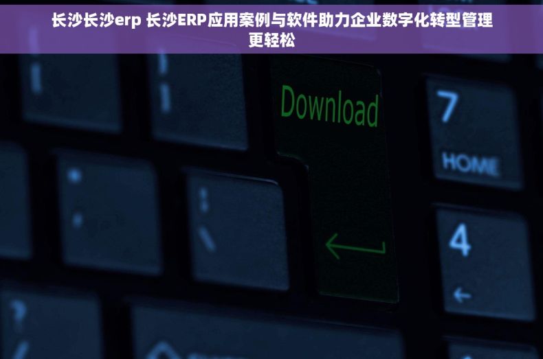 长沙长沙erp 长沙ERP应用案例与软件助力企业数字化转型管理更轻松