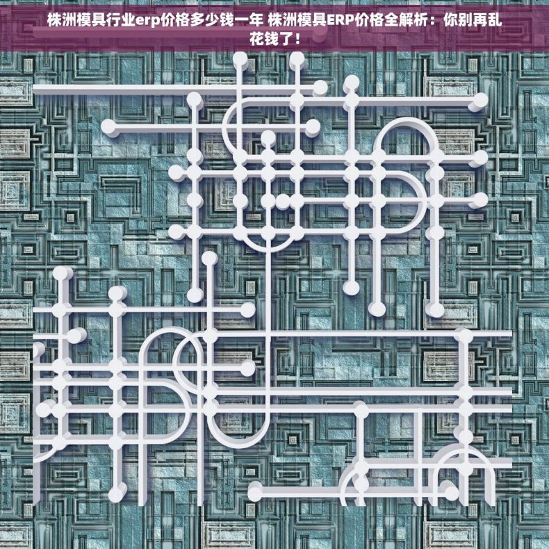 株洲模具行业erp价格多少钱一年 株洲模具ERP价格全解析：你别再乱花钱了！