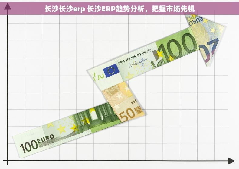 长沙长沙erp 长沙ERP趋势分析，把握市场先机